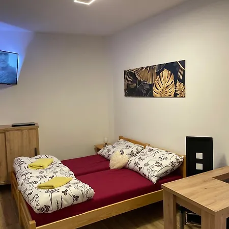 Penzion Netolice Guest house Netolice