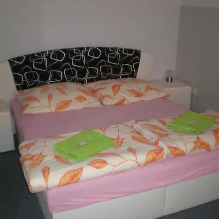 Guest house Penzion Netolice Netolice