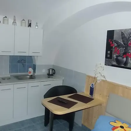 Guest house Penzion Netolice 3*