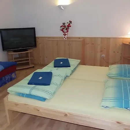 Penzion Netolice 招待所