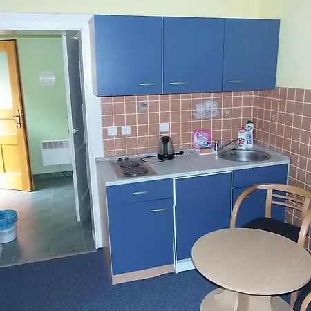 Penzion Netolice 招待所 3*