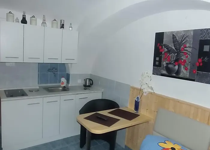 Pensjonat Penzion Netolice 3*