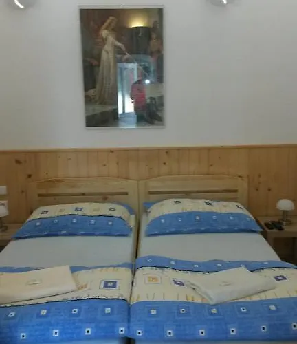 Pensjonat Penzion Netolice Netolice
